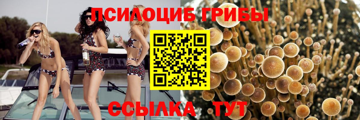 Ипатово  Галлюциногенные грибы GOLDEN TEACHER  Вход с VPN 